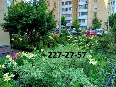 квартира по адресу Дарницкий бульв., 10