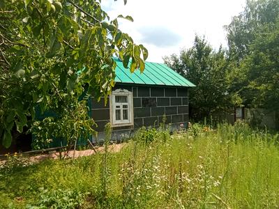 дом по адресу куща