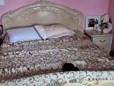 квартира по адресу Амосова ул. (Корчагінців), 40