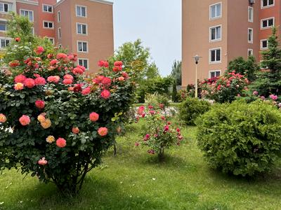 квартира за адресою Лесі Українки бульв., 16