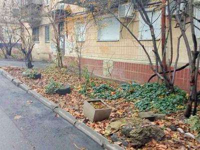 квартира за адресою Артура Савельєва вул. (Черняховського), 9