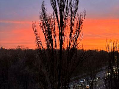 квартира за адресою Олени Теліги вул., 43