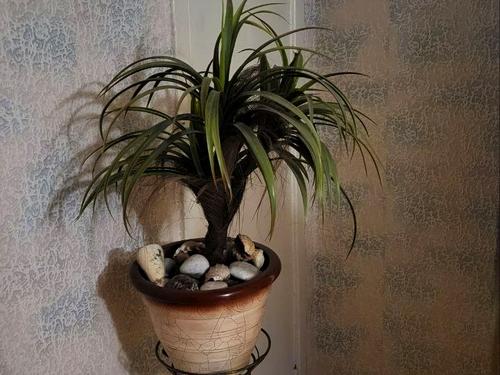 квартира по адресу Рабочая ул., 75