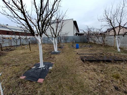 будинок за адресою Провулок Різдвяний, 10