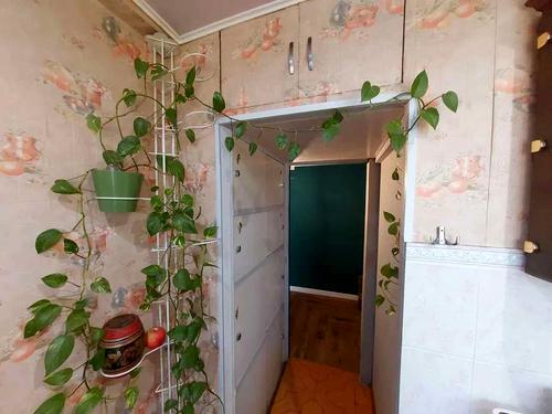 квартира по адресу Остафия Дашкевича ул. (Курнатовского), 22