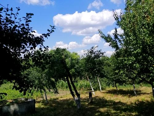 дом по адресу с. Станишовка, Зелена, 24