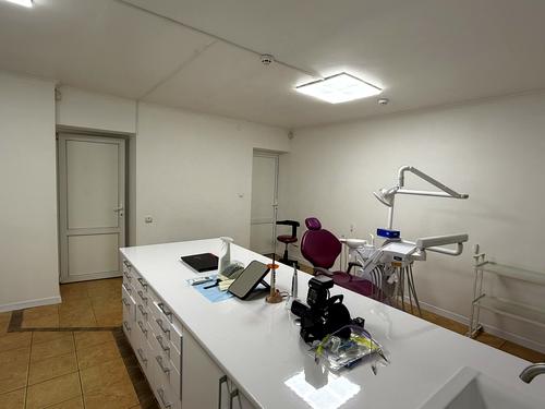 комерційна за адресою Петра Панча вул., 13
