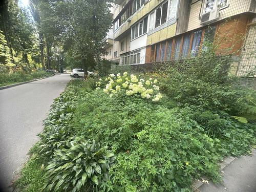 квартира по адресу Зодчих ул., 62-Б