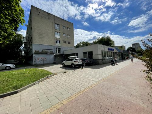комерційна за адресою Володимира Великого вул. (), 29