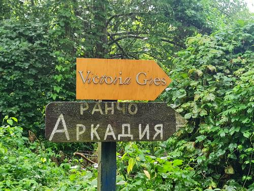 участок по адресу с. Старые Безрадичи, Садова, 2