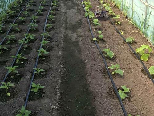 будинок за адресою Івана Кудрі вул.