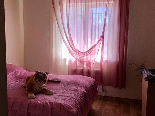 будинок за адресою Садовая, 3