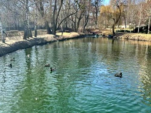 квартира за адресою Вишгородська вул., 45Б/1