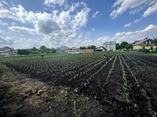 ділянка за адресою с. Великі Грибовичі, Стуса