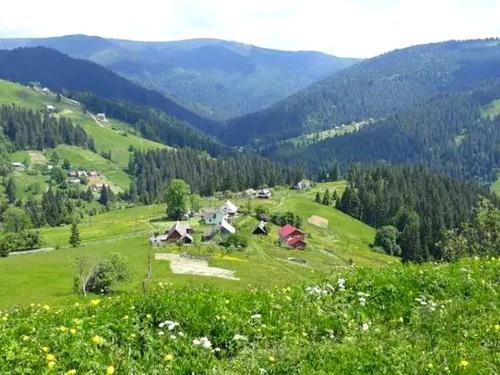 участок по адресу с. Лазещина, Нова, 9