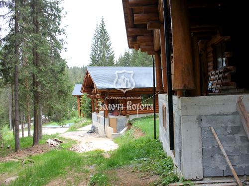 будинок за адресою Горішків, 307