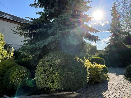 дом по адресу пгт. Песочин, Шевченко