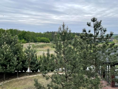 будинок за адресою с. Ходосівка, Берегова