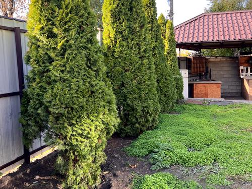 будинок за адресою Запоріжжя, Космічна вул.