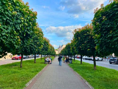 комерційна за адресою Мирослава Скорика вул. (Петра Чайковського), 17