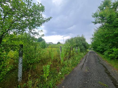 участок по адресу с. Старые Безрадичи, Садова, 2