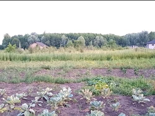 участок по адресу 