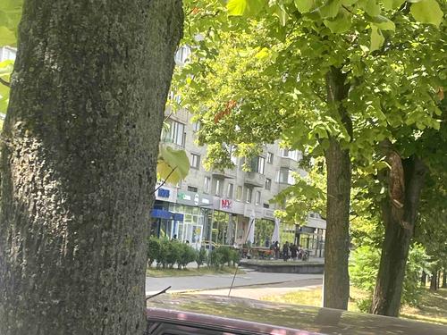 квартира за адресою Володимира Великого вул. (), 51