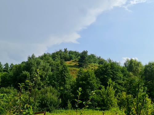 участок по адресу с. Старые Безрадичи, Садова, 2