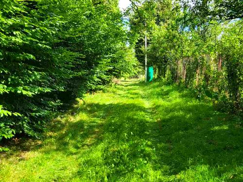 ділянка за адресою Паньківа Миколи Олега Львівського, 141