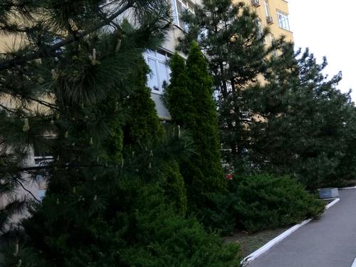 квартира за адресою Петра Болбочана вул. (Клапцова), 52