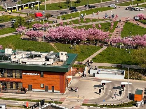 квартира за адресою Червоної Калини просп., 56