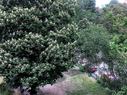 квартира за адресою Стрітенська вул., 4