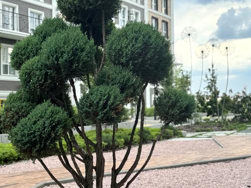 квартира за адресою Михайла Максимовича вул. (Онуфрія Трутенка), 24-В