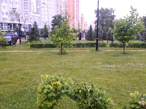 квартира по адресу Владимира Ивасюка просп. (Героїв Сталінграду), 2-Д