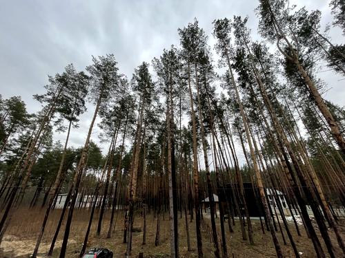 дом по адресу Лісова