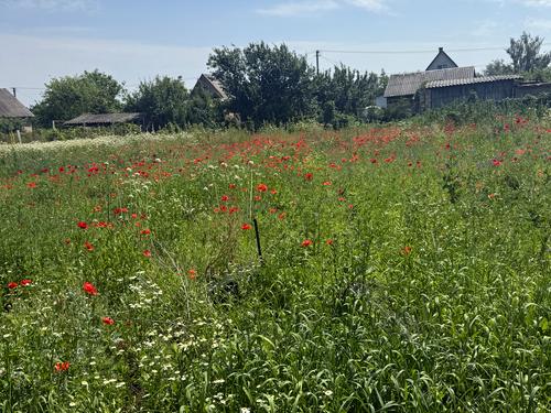 дом по адресу с. Торфяное, Ізобільна 26