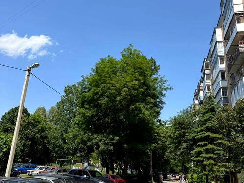 квартира за адресою Б. Лепкого вул., 6