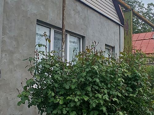 будинок за адресою Джерельна