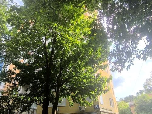 квартира за адресою Академіка Андрія Сахарова вул., 58а