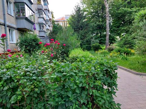 квартира за адресою Івана Виговського вул. (Терешкової), 25
