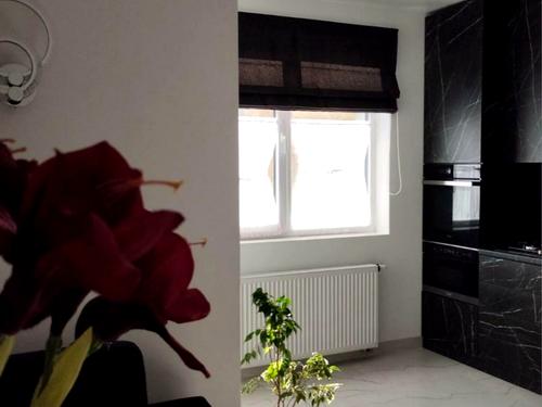 квартира за адресою Пасічна вул., 25А