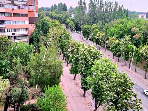 квартира за адресою Пр.Миру, 25