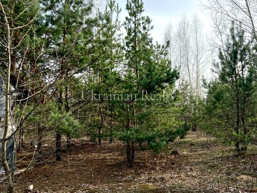 участок по адресу Ирпень, Университетская ул., 1