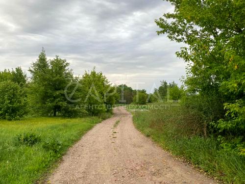участок по адресу с. Погребы, озерна