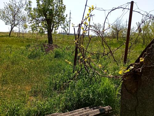 будинок за адресою Перемоги, 41