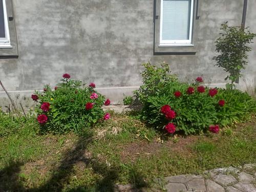 будинок за адресою Миру, 47