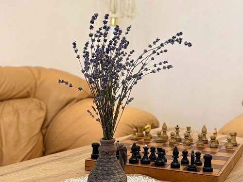 квартира за адресою Велика Арнаутська вул., 81