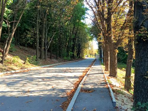 квартира по адресу Calle Dilova ул. (Димитрова), 2-Б