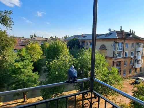 квартира по адресу Гагаріна, 31