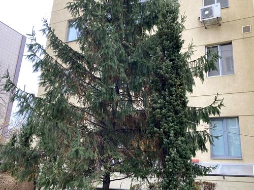 квартира по адресу Левка Лукʼяненка ул. (Василия Жуковского), 21-А